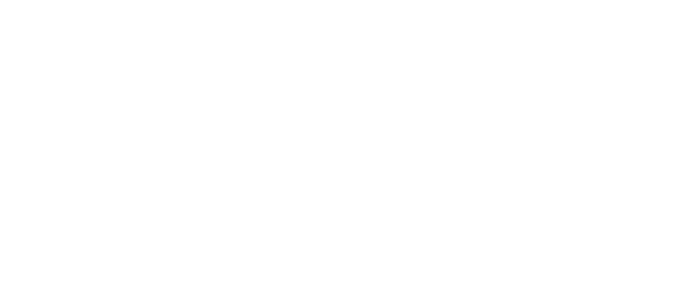 Lunar Payment Partner